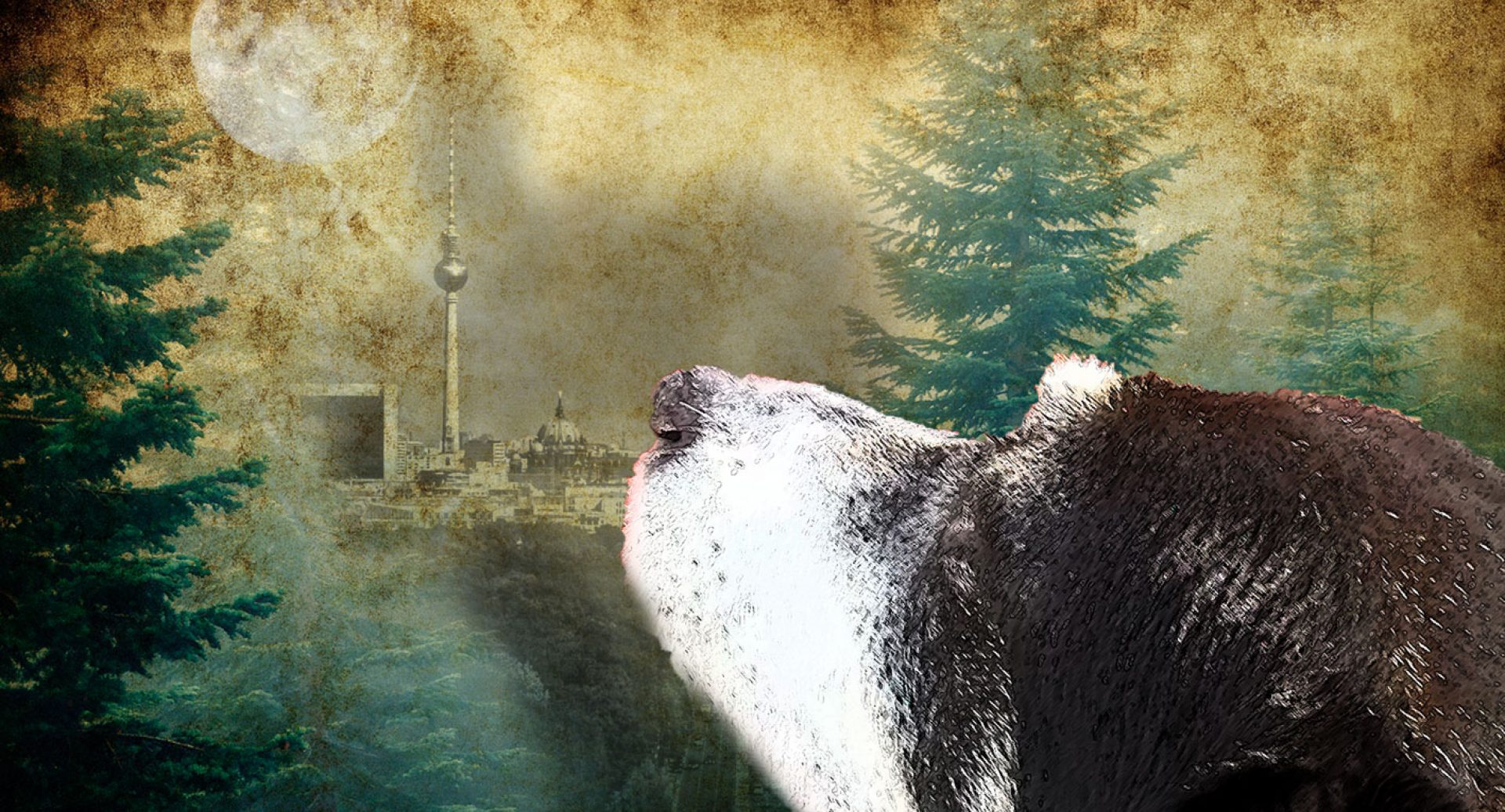 GRAFIKDESIGN PROJEKTE